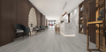 WY365-103 SPC FLOORING