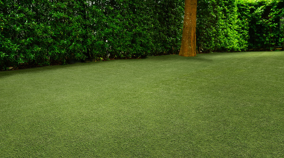 Evergrass® Emerald Green Turf 110OZ
