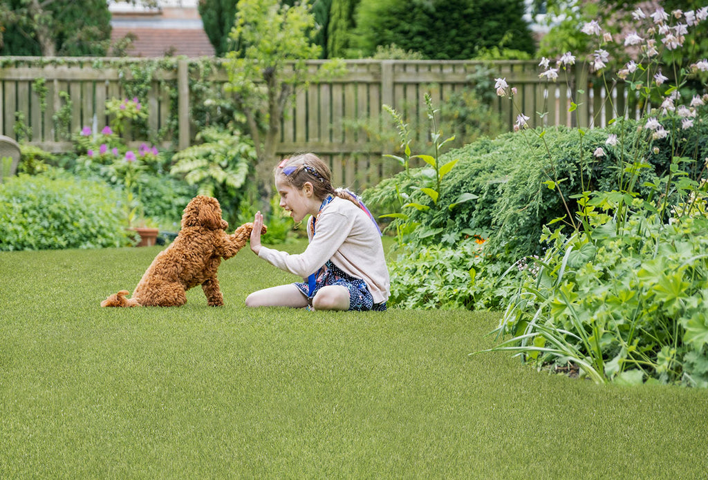 Evergrass® Emerald Green Turf 110OZ