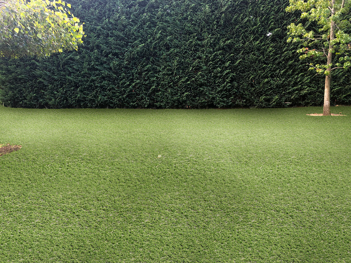 Evergrass® Emerald Green Turf 76OZ