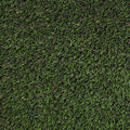 Evergrass® MEADOW GREEN PET-TURF 91OZ