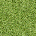 Evergrass® Putting Green Turf 78OZ