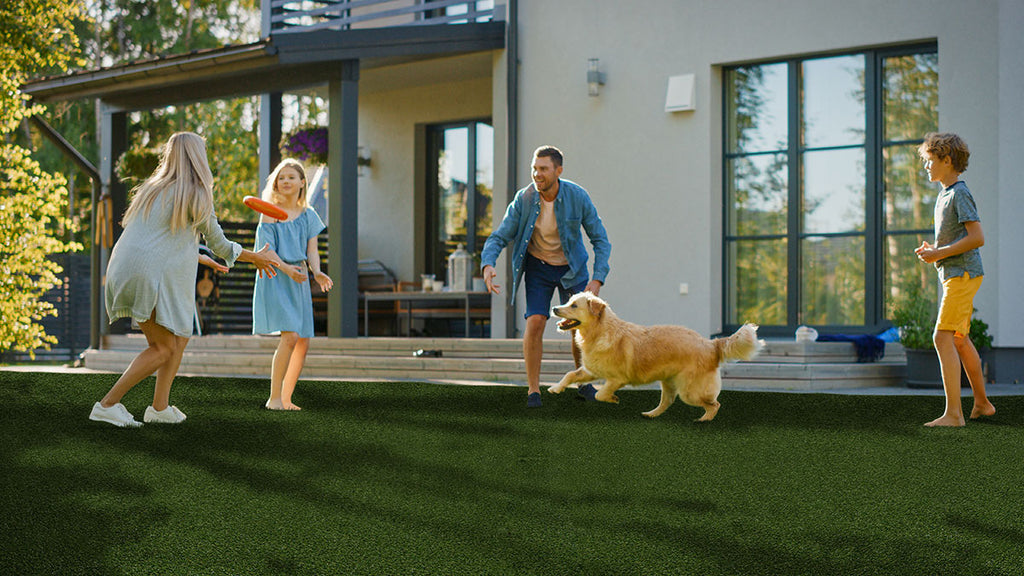 Evergrass® MEADOW GREEN PET-TURF 91OZ