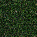 Evergrass® SUMMER GOLD 96OZ