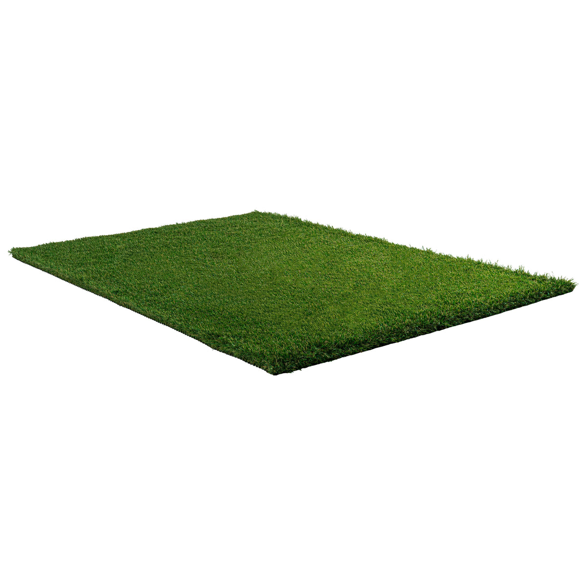 Evergrass® Verdura Gold 123OZ