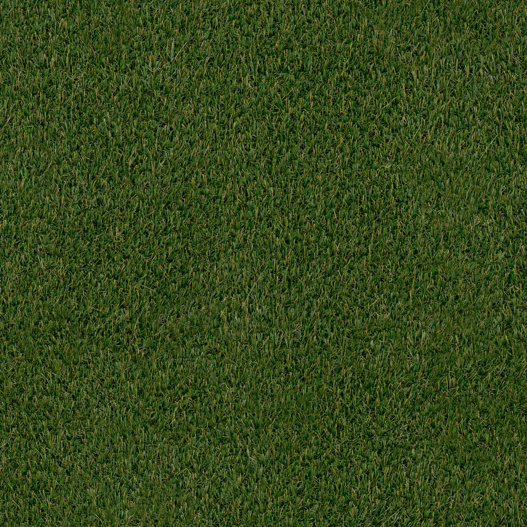 Evergrass® Verdura Gold 123OZ