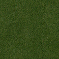 Evergrass® Verdura Gold 123OZ