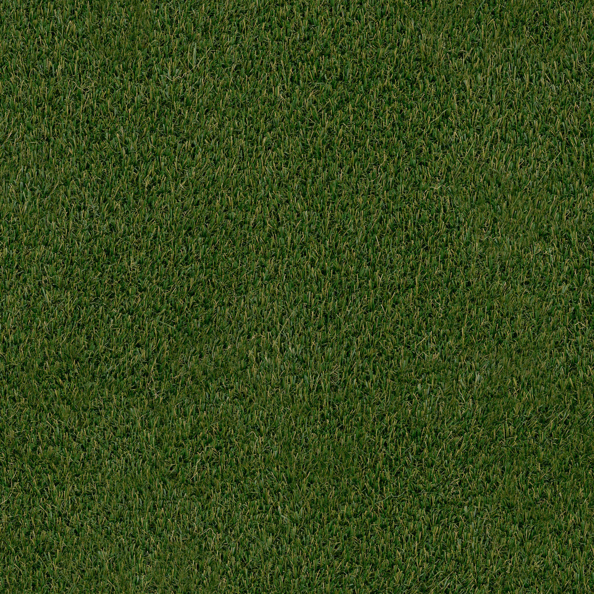 Evergrass® Verdura Gold 123OZ