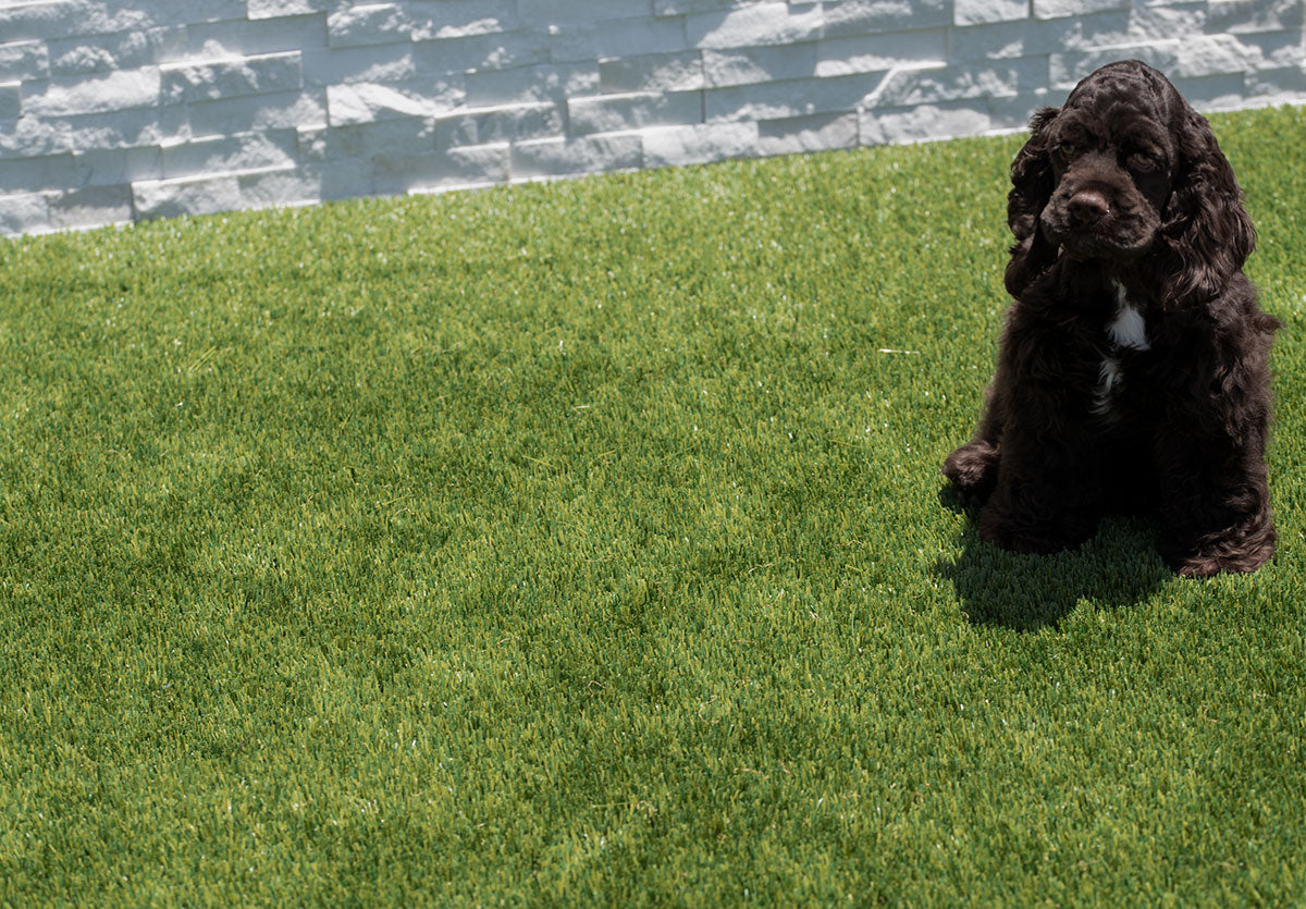 Evergrass® Viridian Turf 91OZ
