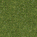 Evergrass® Viridian Turf 91OZ